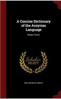 A Concise Dictionary of the Assyrian Language