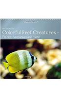 Colorful Reef Inhabitants - Fishes, Anemones and More 2017: Tropical Reefs Provide a Wide Variety of Animals and Colors(Calvendo Animals)