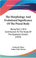 The Morphology And Evolutional Significance Of The Pineal Body