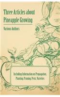 Three Articles about Pineapple Growing - Including Information on Propagation, Planting, Pruning, Pests, Varieties
