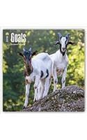 Goats 2018 Calendar