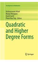 Quadratic and Higher Degree Forms