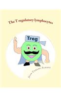 T regulatory lymphocytes