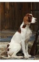 Irish Red and White Setter: Artified Pets Dog Journal/Notebook/Diary