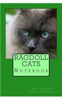 Ragdoll Cats