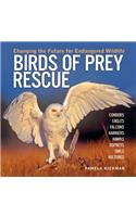 Birds of Prey Rescue