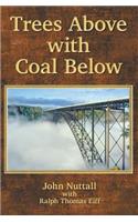 Trees Above with Coal Below