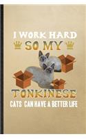 I Work Hard So My Tonkinese Cats Can Have a Better Life