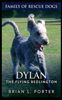 Dylan - The Flying Bedlington