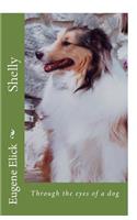 Shelly: Through the eyes of a dog