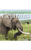 Exploring the World of Elephants
