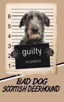 Bad Dog Scottish Deerhound: Blood Sugar Diet Diary Journal Log Notebook Featuring 120 Pages 6x9