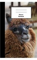 Veneza Notebook: 110 Lined Pages, 6 x 9 inches, Daily Paperback Notebook, Journal, Diary Book, Book For Gift, Funny Gift
