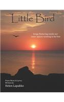 Little Bird
