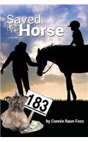 Saved By A Horse