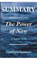 Summary - The Power of Now