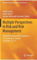 Multiple Perspectives in Risk and Risk Management