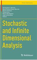 Stochastic and Infinite Dimensional Analysis