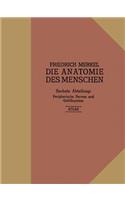 Atlas zu Peripherische Nerven und Gefäßsystem: (German)
