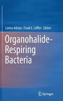 Organohalide-Respiring Bacteria