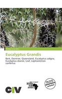 Eucalyptus Grandis
