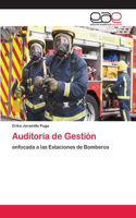 Auditoría de Gestión