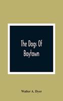 The Dogs Of Boytown