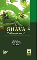 Guava: Psidium Guajava L.