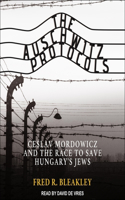 Auschwitz Protocols