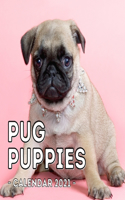 Pug Puppies Calendar 2021: 16-Month Calendar, Cute Gift Idea For Pug Lovers Men & Women