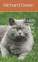British Shorthair Cat As Pet