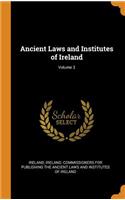 Ancient Laws and Institutes of Ireland; Volume 3