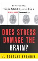 Does Stress Damage the Brain?