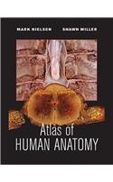 Atlas of Human Anatomy