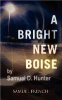 Bright New Boise