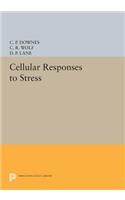 Cellular Responses to Stress