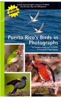 Puerto Rico's Birds in Photographs
