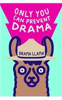 Only You Can Prevent Drama