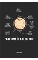 Anatomy of a Hedgehog Notebook