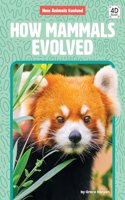 How Mammals Evolved