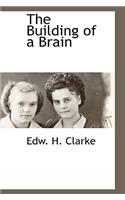Building of a Brain
