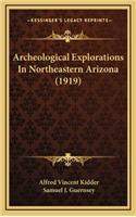 Archeological Explorations In Northeastern Arizona (1919)