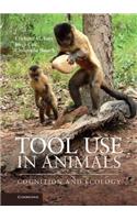 Tool Use in Animals