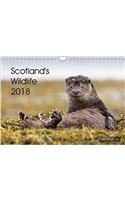 Scotland's Wildlife 2018 2018