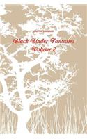 Black Binder Fantasies Volume 2