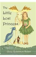 Little Lost Princess