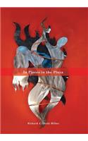In Pieces in the Plaza