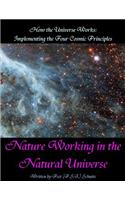 How the Universe Works: Implementing the four cosmic principles: Nature Working in the Natural Universe(English)
