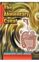 The Alimentary Canal: (English)