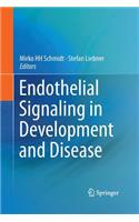 Endothelial Signaling in Development and Disease